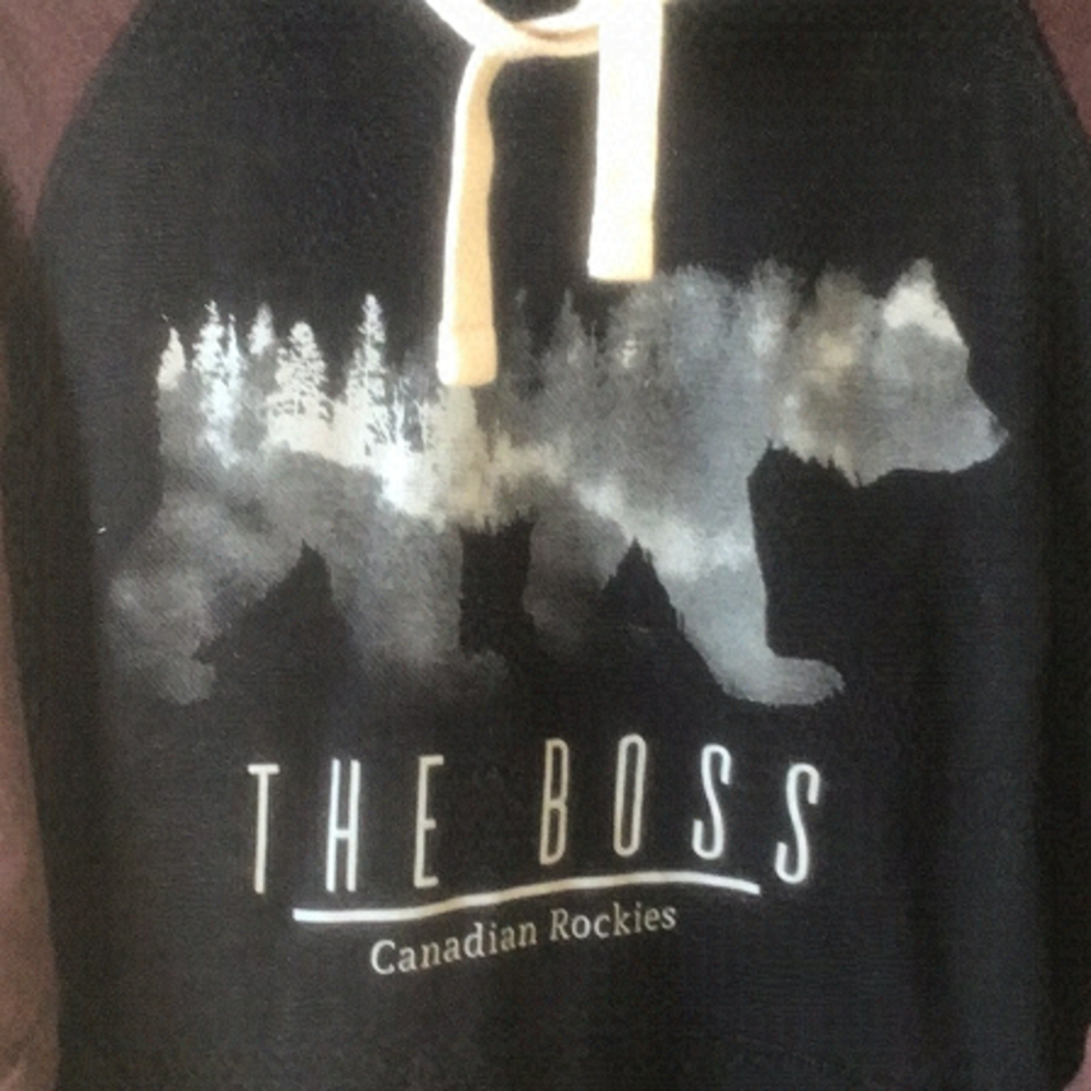𝅺hoodie featuring The Boss on front with Rockies in relief.